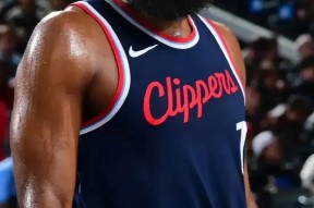 开云APP-哈登vol4