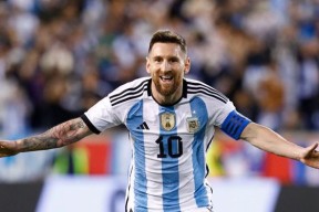 开云APP-梅花泪原唱视频